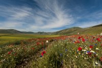 castelluccio 8 june 2013